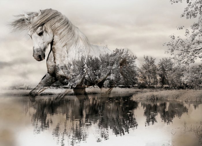 Fototapete Ein Pferd galoppiert durch eine Waldlandschaft