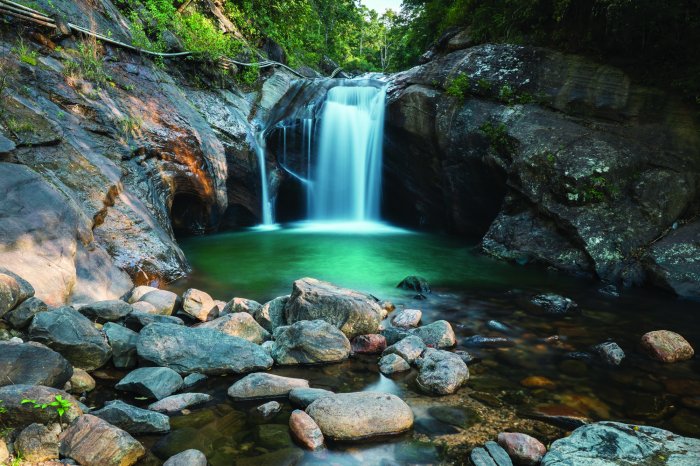 Fototapete Waldlandschaft mit Wasserfall und Steinen
