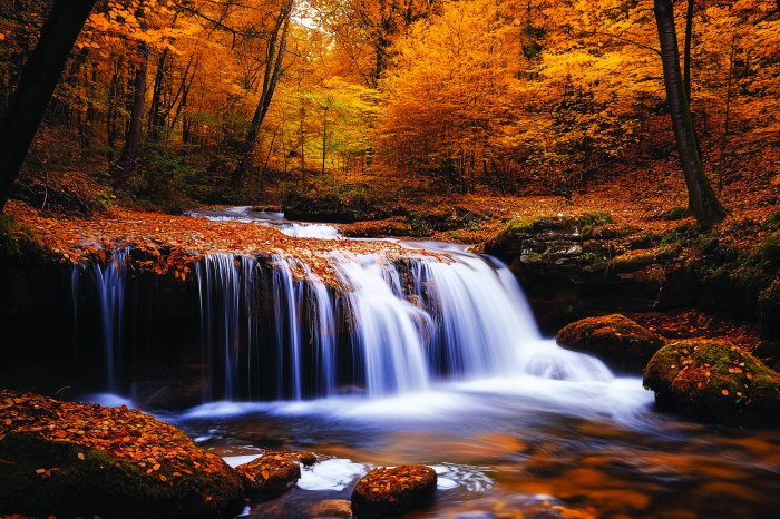 Fototapete Herbstliche Waldlandschaft mit Wasserfall