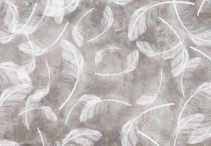 Fototapete Weiße Federn auf grauem Betonhintergrund Loft-Stil