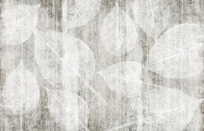 Fototapete Subtile Blätter auf einem Kartonhintergrund in Grautönen