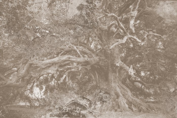 Fototapete Landschaft im Vintage-Stil mit Baum und Betonstruktur