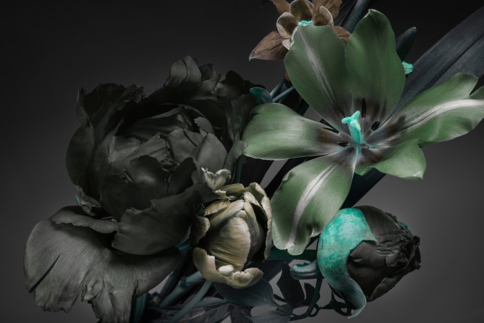 Fototapete Lilien und Pfingstrosen Blumen auf dunklem Hintergrund