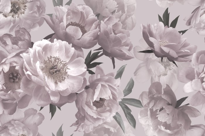 Fototapete Blumiger Hintergrund mit Pfingstrosen