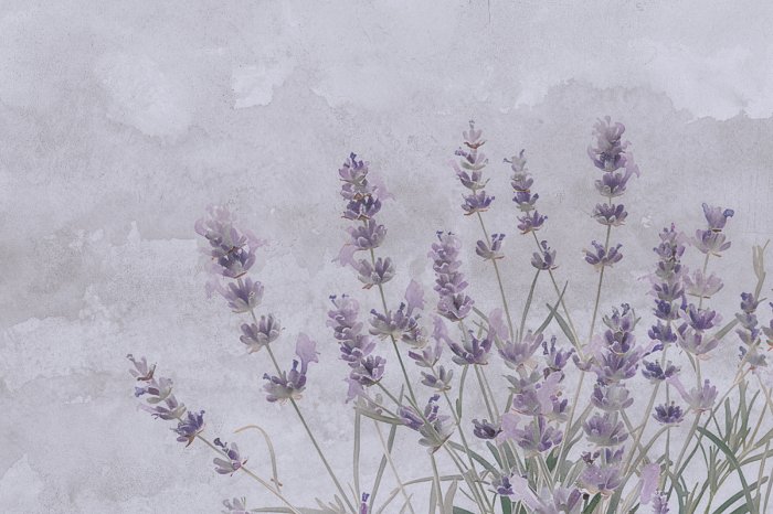 Fototapete Aquarell-Lavendelblumen auf Beton