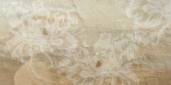 Fototapete Helle Pfingstrosen auf Betonhintergrund