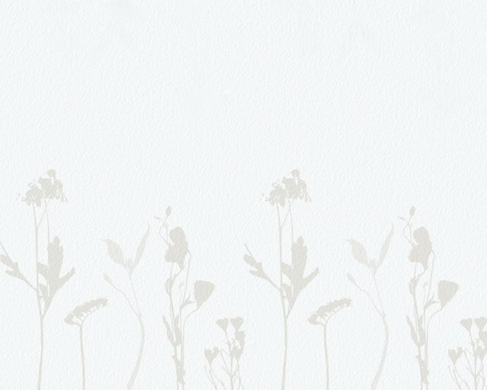 Fototapete Zarte Wildblumen im minimalistischen Stil auf hellem Hintergrund