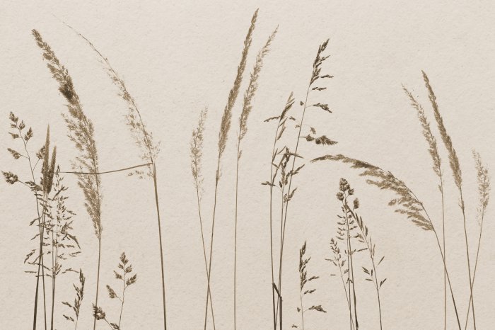 Fototapete Gräser auf beigem Hintergrund im minimalistischen Stil