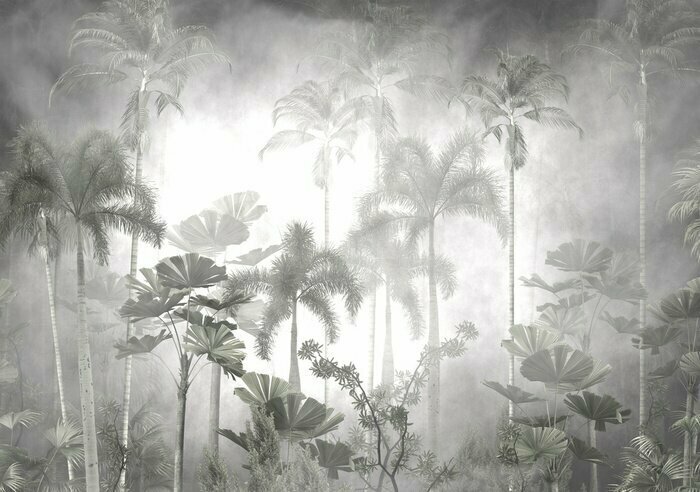 Fototapete Tropical trees and leaves in foggy forest wallpaper design - 3D