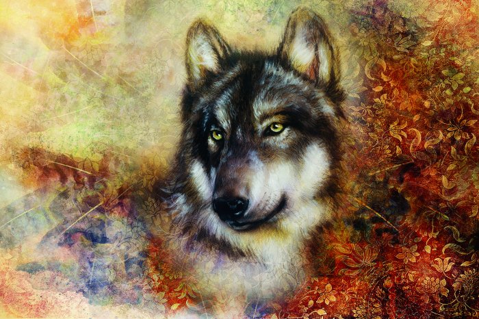 Fototapete Porträt eines Wolfs mit dekorativem Ornament im Hintergrund﻿