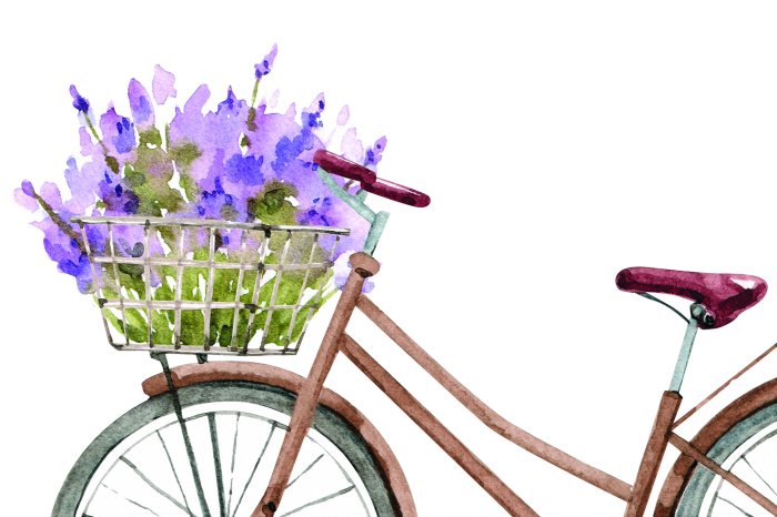 Fototapete Bemaltes Fahrrad mit Heidekraut im Korb