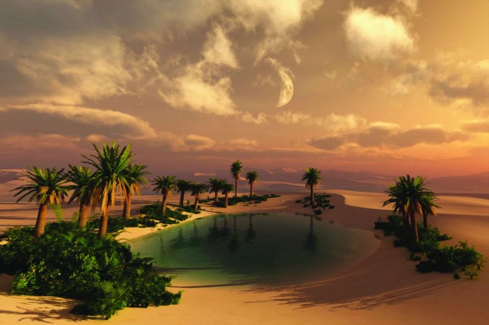 Fototapete Tropische Wüste mit Palmen und Wasser