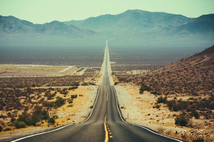Fototapete Asphaltstraße zwischen Wüstenvegetation