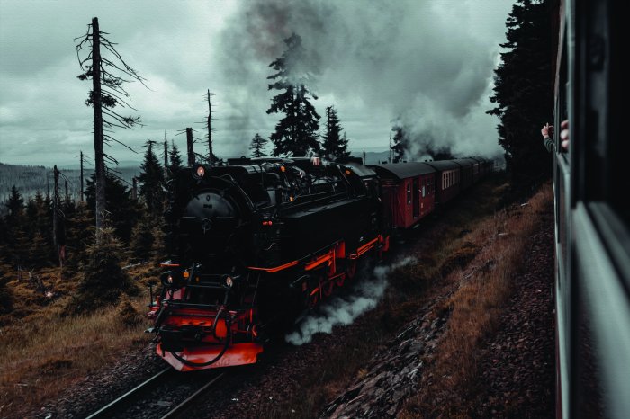 Fototapete Lokomotive auf den Gleisen im Wald
