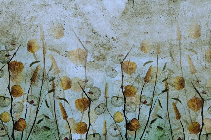 Fototapete Wilde Wiese mit Herbstvegetation