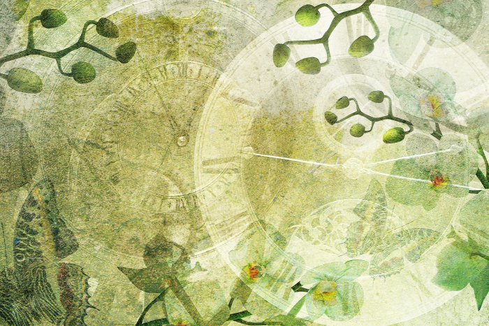 Fototapete Retro Uhren zwischen Orchideenblüten