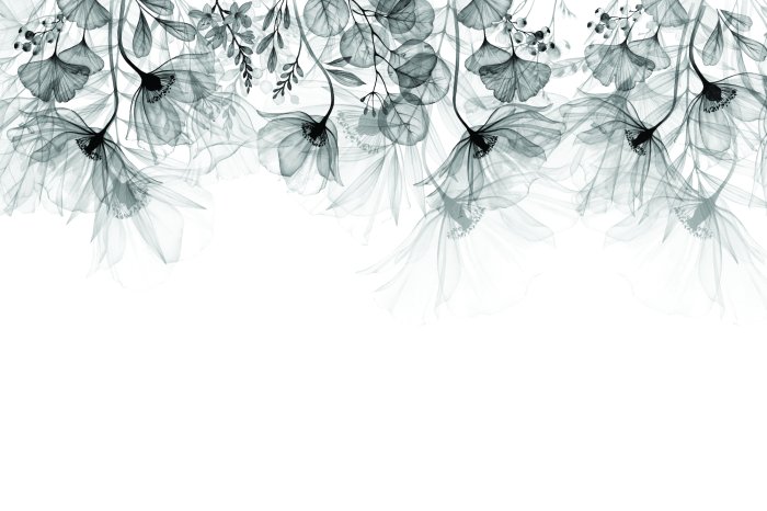 Fototapete Zarte hängende graue Blumen