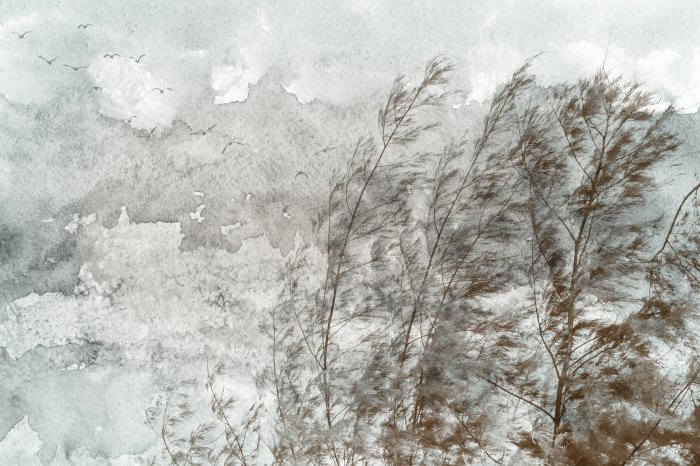 Fototapete Laubbäume im Wind unter Vögeln