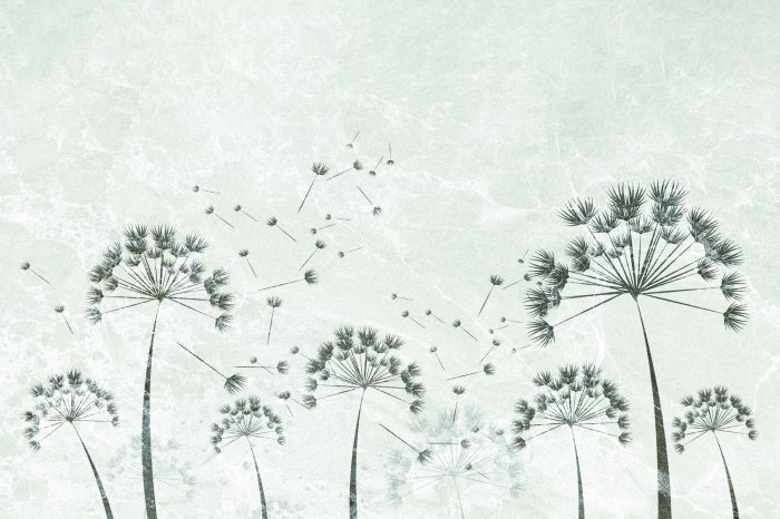 Fototapete Löwenzähne auf grauem Beton