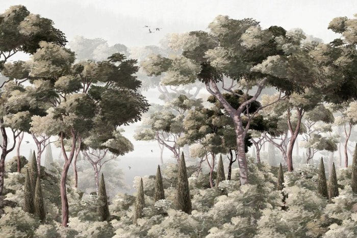 Fototapete Wald mit üppiger Vegetation und Sträuchern