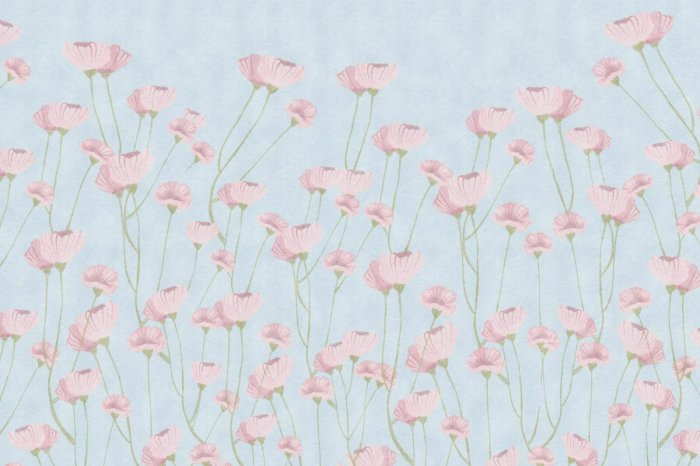 Fototapete Zarte Mohnblumen auf blauem Hintergrund