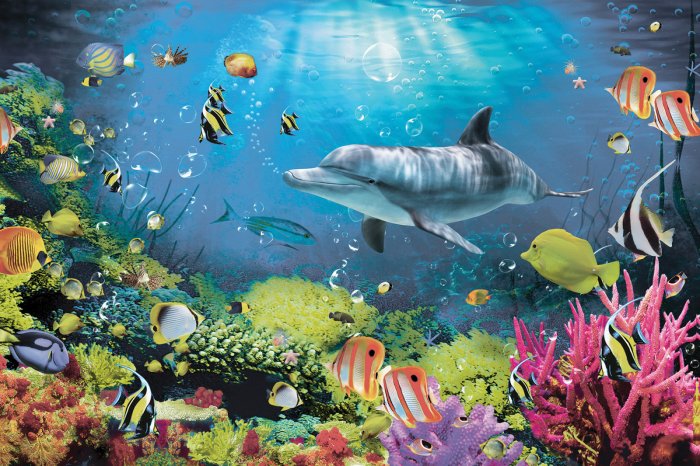 Fototapete Unterwasserwelt des Riffs mit bunten Fischen