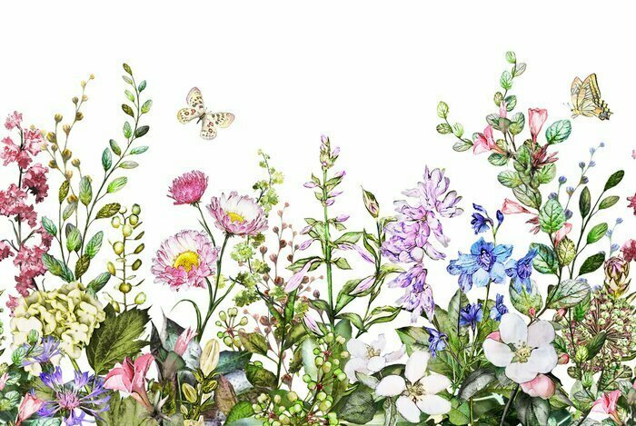 Fototapete Seamless Colorful flower floral illustrations for fabric designing.