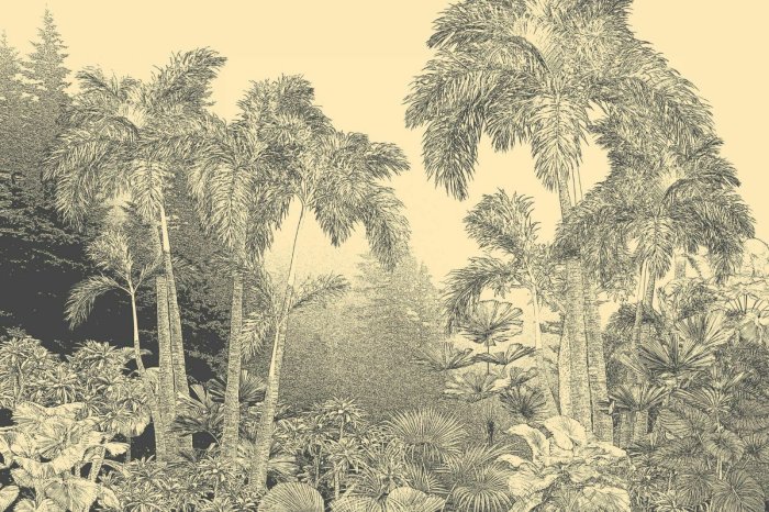 Fototapete Skizze üppiger Waldbotanik in Sepia