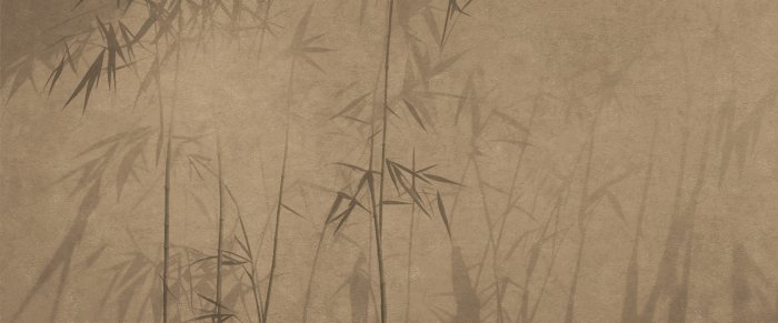 Fototapete Bambussprossen an einer braunen Wand