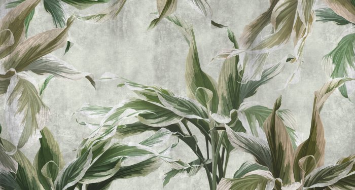 Fototapete Blätter von Blumen an einer Betonwand