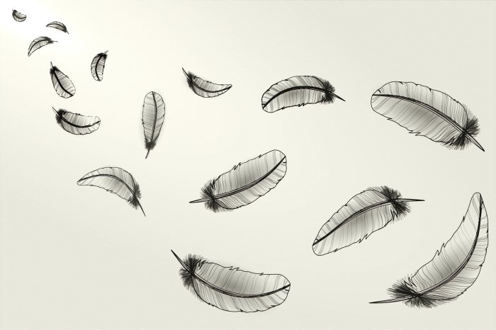 Fototapete Schwarze gemalte Federn auf hellem Hintergrund