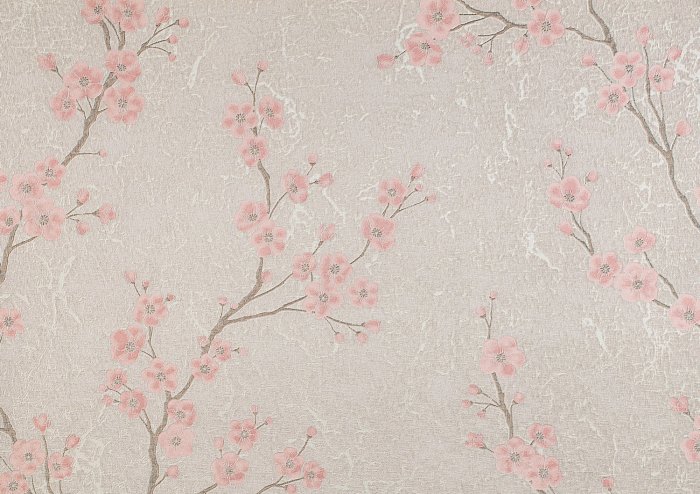 Fototapete Zarte rosa Kirschblüten an Zweigen