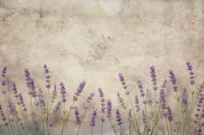 Fototapete Lavendel auf beigem Beton