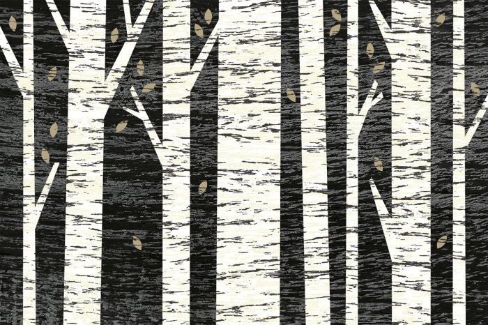 Fototapete Birkenwald vor schwarzem Hintergrund