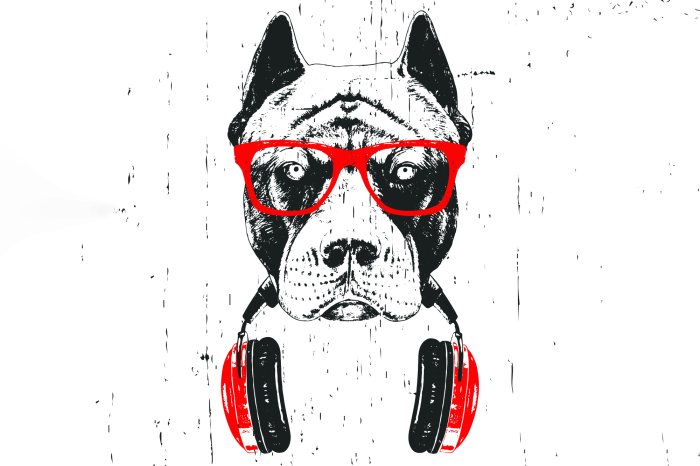 Fototapete Hund mit Sonnenbrille und Kopfhörern