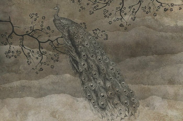 Fototapete Schöner Pfau auf einem Ast vor braunem strukturiertem Hintergrund