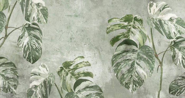 Fototapete Monstera-Pflanzen auf strukturiertem grünem Hintergrund