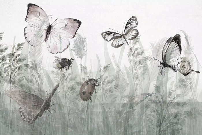 Fototapete Schmetterlinge und ein Marienkäfer auf einer Sommerwiese, Landschaft mit Insekten und Pflanzen