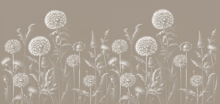 Fototapete Weiße Löwenzahnblumen und Wildblumen auf beigefarbenem Hintergrund, botanisches Muster