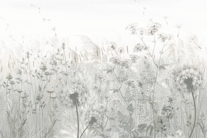 Fototapete Wildblumen und Löwenzahn, botanisches Pflanzenmotiv in Grautönen