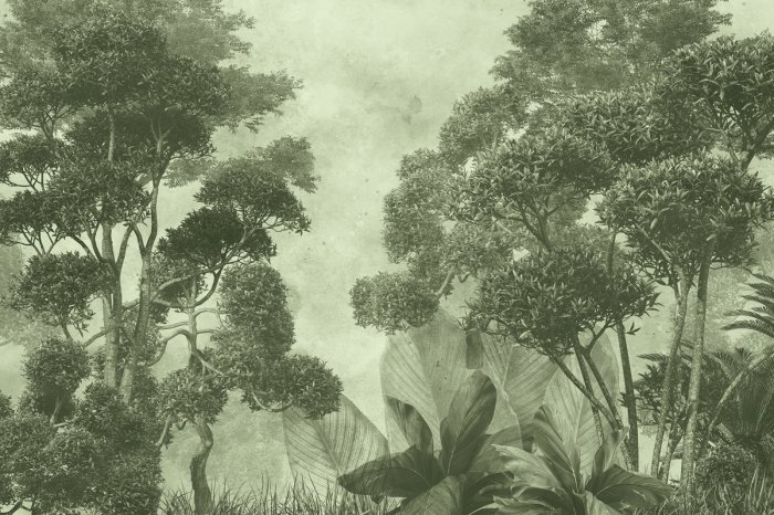 Fototapete Nebliger tropischer Wald in Grün, exotische Naturlandschaft