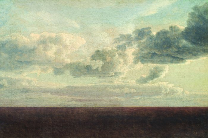 Fototapete Wilde Wiese vor einem Himmel mit weißen Wolken