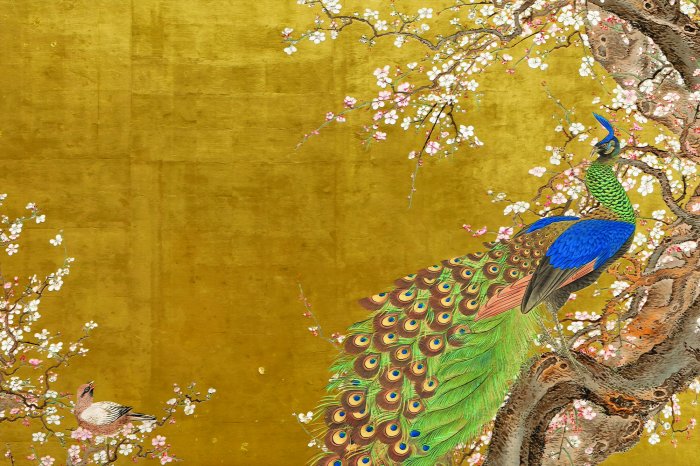 Fototapete Reizvoller Pfau unter Kirschblüten