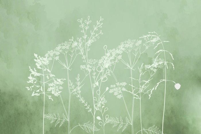 Fototapete Zarte Gräser auf grauem Hintergrund