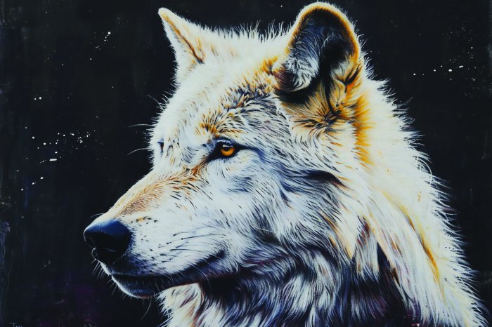 Fototapete Porträt eines ausgewachsenen Wolfs auf dunklem Hintergrund