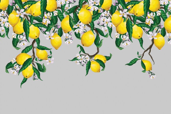 Fototapete Zitronen umgeben von Blumen und Blättern