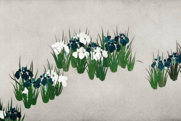 Fototapete Feldblumen auf hellem Hintergrund