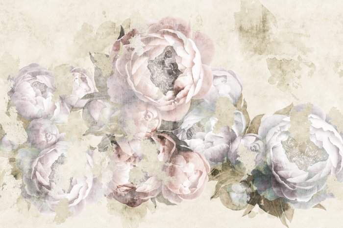 Fototapete Zarte rosa Pfingstrosenblumen