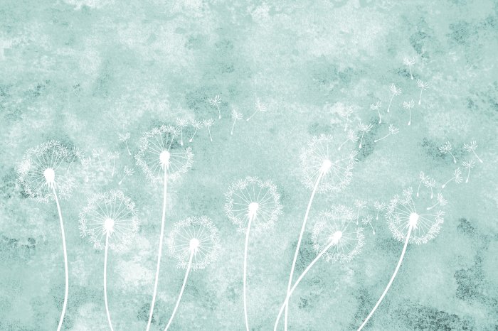 Fototapete Zarte Löwenzähne auf blauem Hintergrund