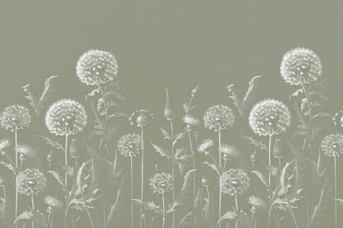 Fototapete Subtile Löwenzähne auf der Wiese